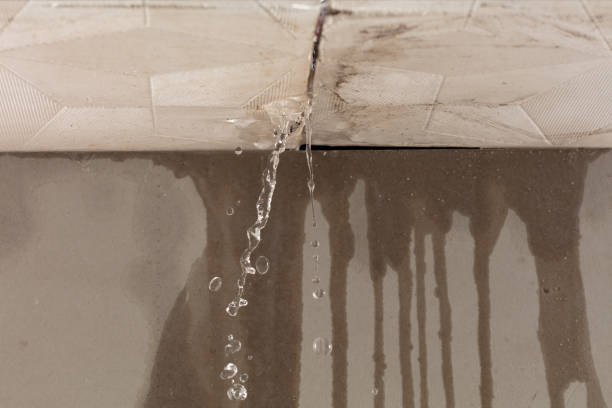 Professional Structural Drying technician working in Amlin, OH